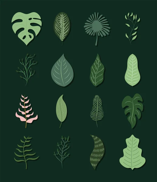 Шістнадцять садових листя — стоковий вектор