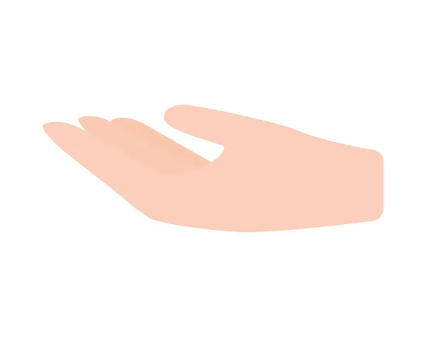 Conception de palme à main — Image vectorielle