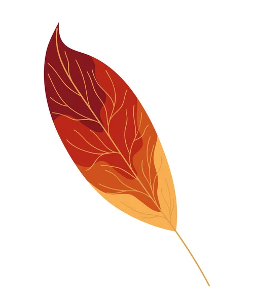 Hoja lanceolada de otoño — Archivo Imágenes Vectoriales