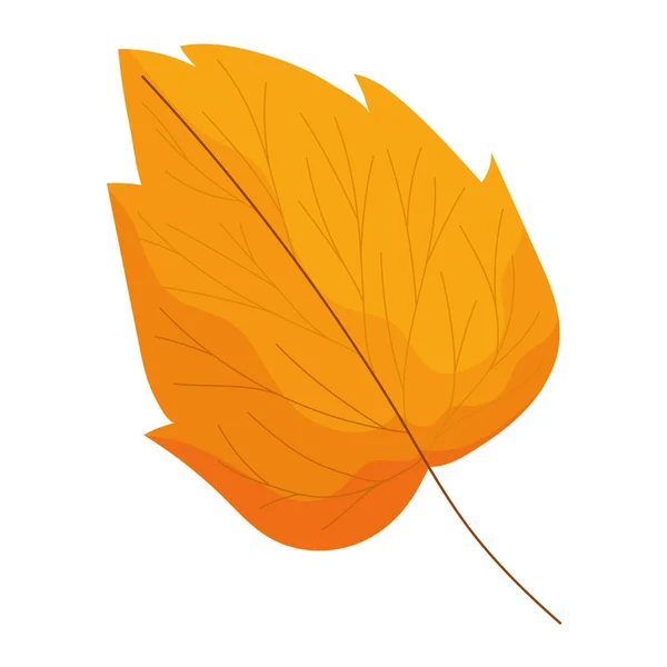 Outono folha oval — Vetor de Stock