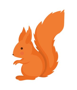 tapılası sincap tasarımı