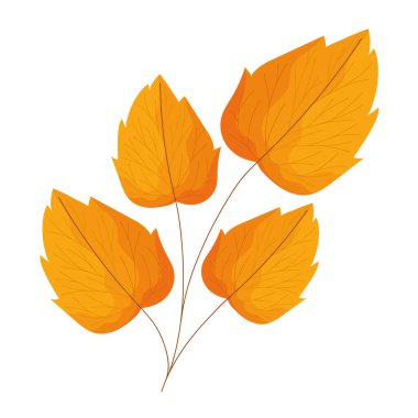 sonbahar oval yaprakları