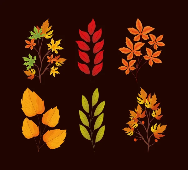 Έξι φθινοπωρινά φύλλα — Διανυσματικό Αρχείο
