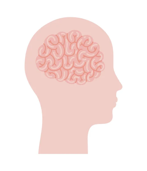Head and brain silhouette — Stock Vector