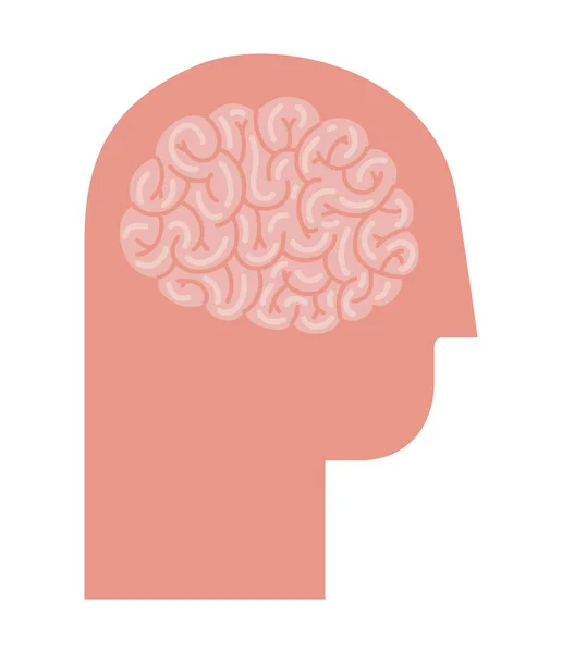 Brain and head silhouette — Stockvector