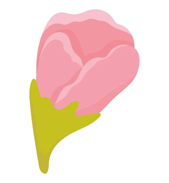 분홍색 꽃잎 삽화 — 스톡 벡터