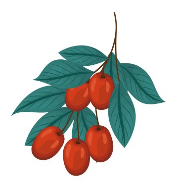 Kahve çekirdeği tasarımı