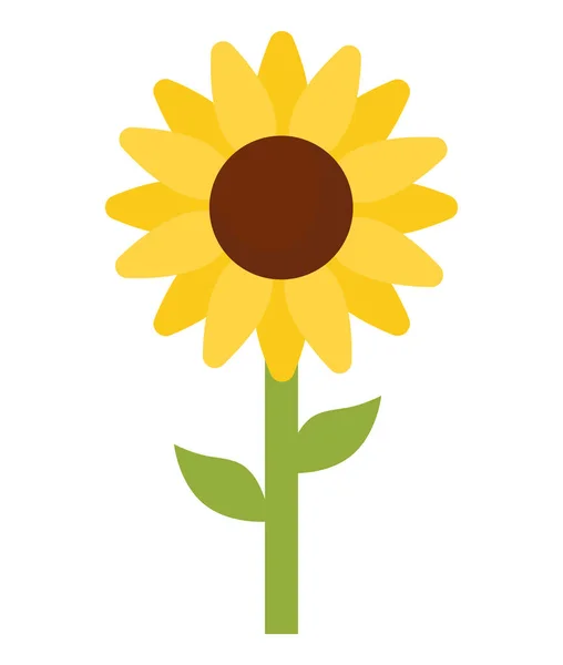 Yellow sunflower design — Stock Vector