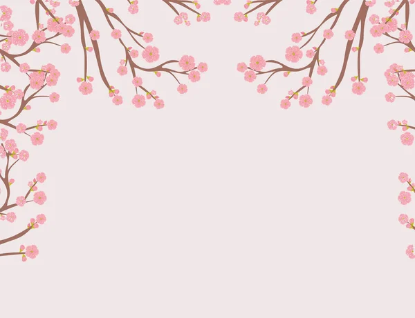 Sakura tree design — Stock Vector