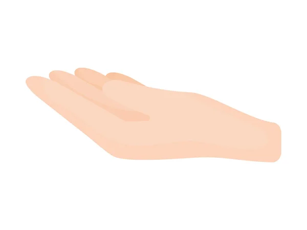 Illustration des mains humaines — Image vectorielle