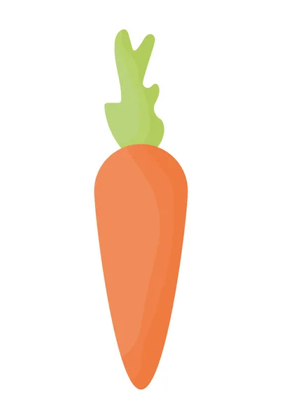 Orange carrot design — Stock Vector