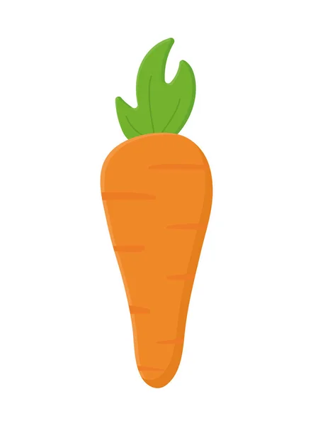 Oranje worteltekening — Stockvector