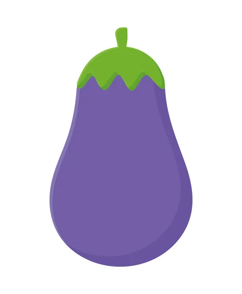 Purple eggplant design — Stock Vector