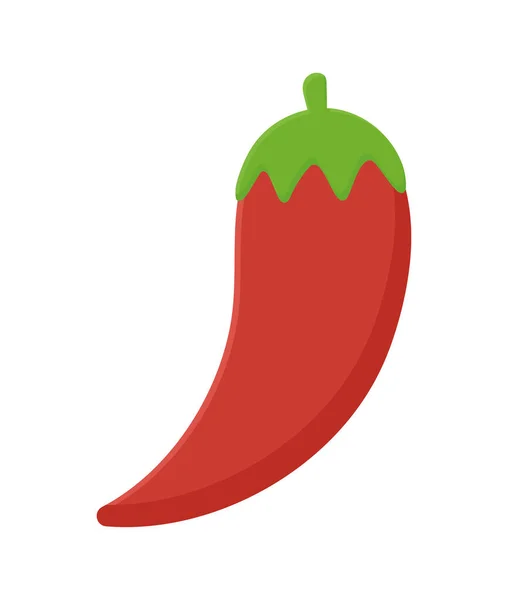 Vörös chili paprika — Stock Vector