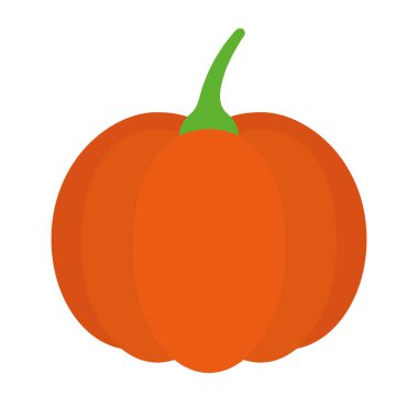 turuncu kabak tasarımı