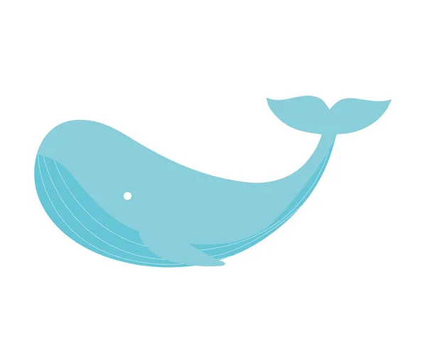 Mavi balina tasarımı — Stok Vektör