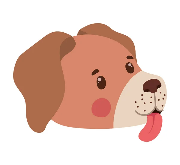 Diseño de cara de cachorro — Archivo Imágenes Vectoriales