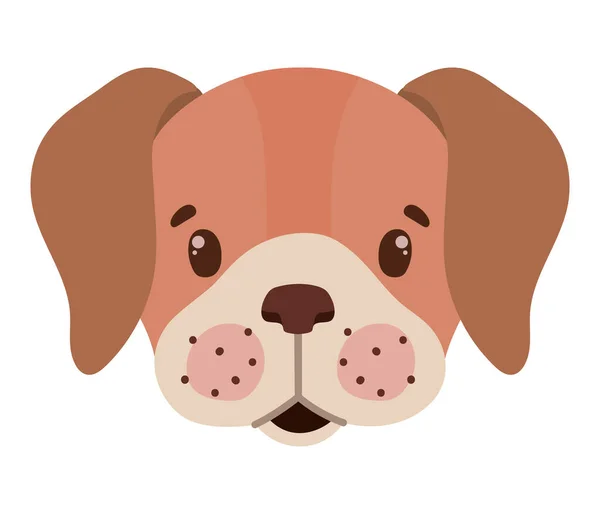 Chien Illustration faciale — Image vectorielle