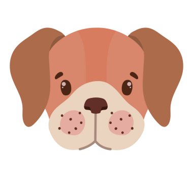 köpek yüzü temsilcisiName