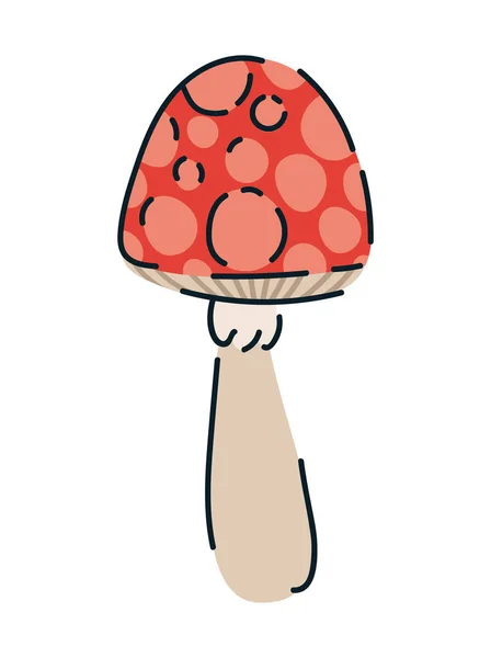 Desing champignon rouge — Image vectorielle