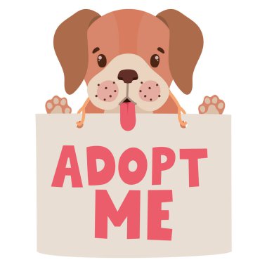 Evlat edinmek a köpek yavrusu