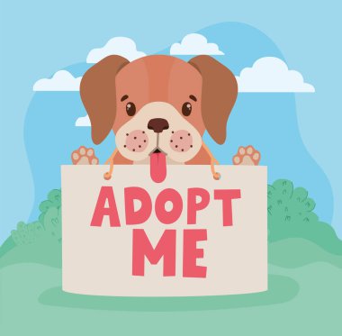 Tekli tahtalı köpek yavrusu