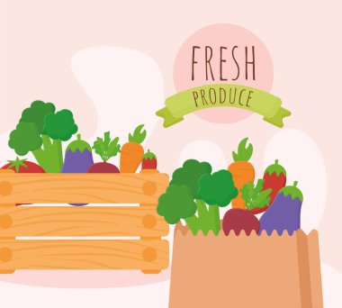 taze ürün illüstrasyonu