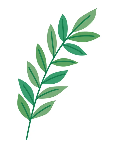 Leaves branch icon — Stock Vector