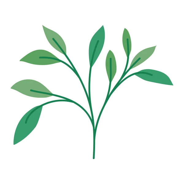나뭇잎 삽화 — 스톡 벡터