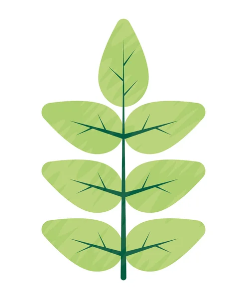 Branche de jardin vert — Image vectorielle