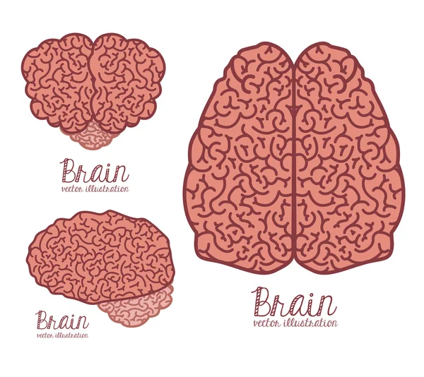 Conception d'idée — Image vectorielle