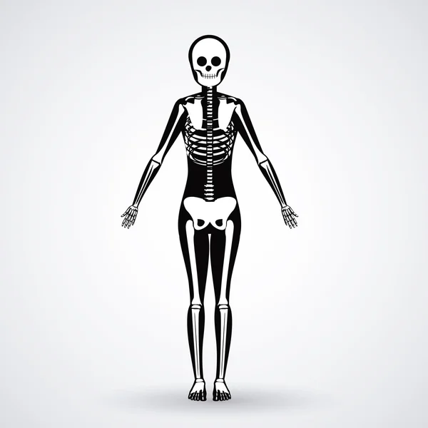 Diseño del cuerpo — Vector de stock