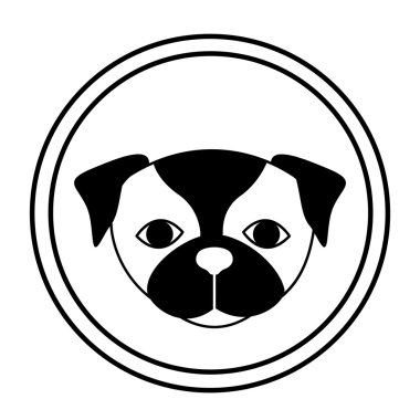 Evcil hayvan tasarımı