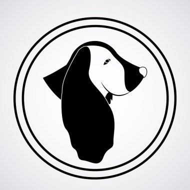 Evcil hayvan tasarımı