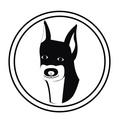 Evcil hayvan tasarımı