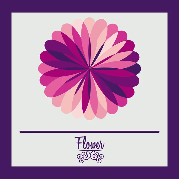 Bloemen ontwerp — Stockvector