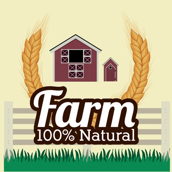 Farm design, vector illustration. — Stock Vector