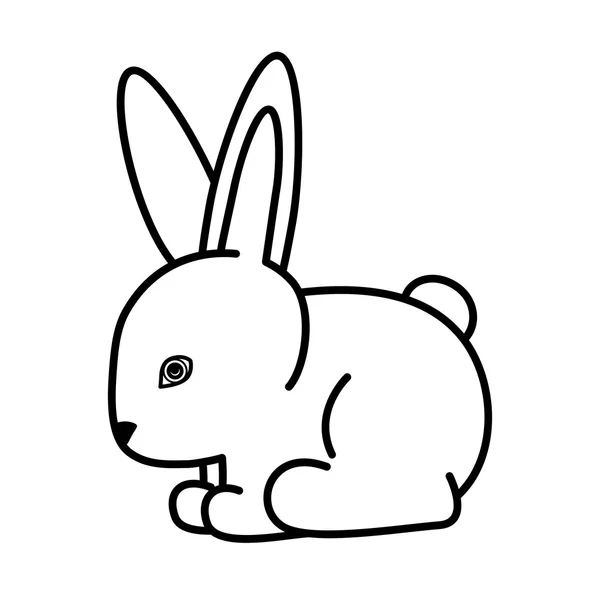 Conception de lapin, illustration vectorielle . — Image vectorielle