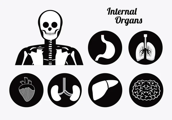 Cuerpo, sano, diseño, ilustración del vector . — Archivo Imágenes Vectoriales