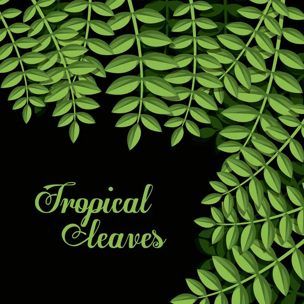 Diseño de hojas tropicales — Vector de stock
