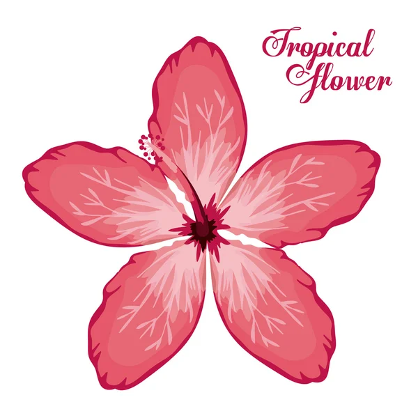 Ontwerp met tropische bloemen — Stockvector