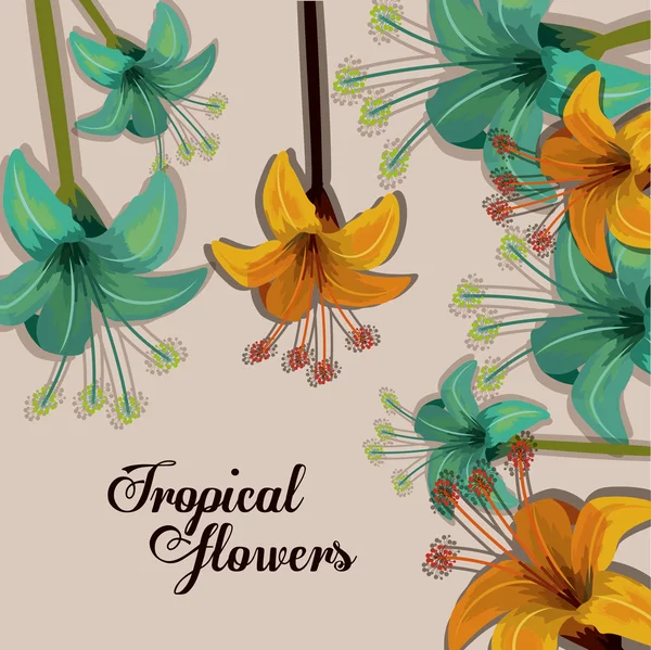 Tropikalne kwiaty projektu — Wektor stockowy