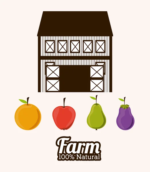 Granja Diseño de alimentos — Vector de stock