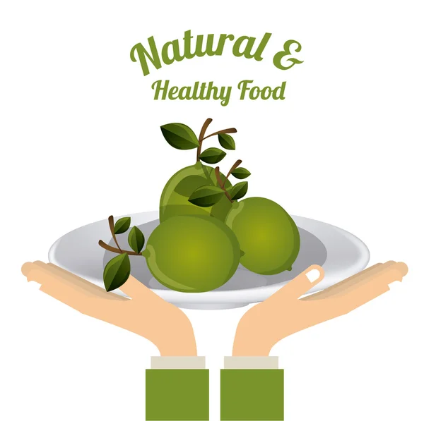 Natürliche Lebensmittelgestaltung — Stockvektor