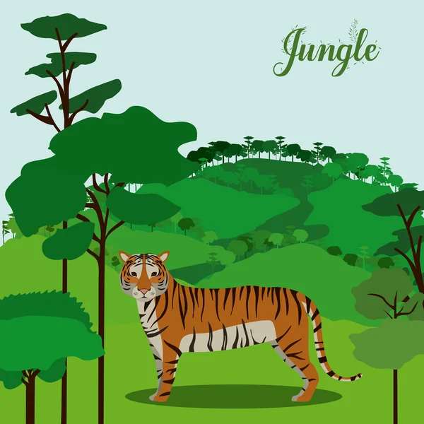 Jungle design — Stock Vector