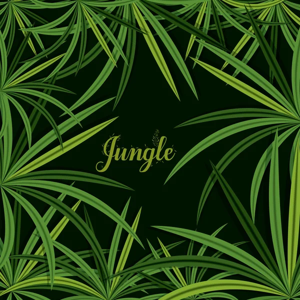Dschungel-Design — Stockvektor