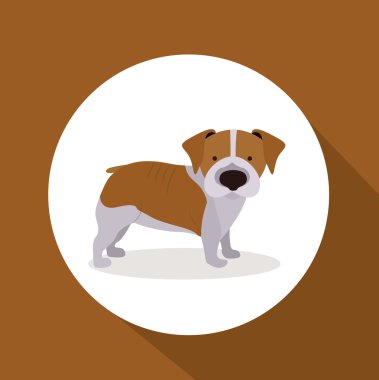 evde beslenen hayvan tasarımı 