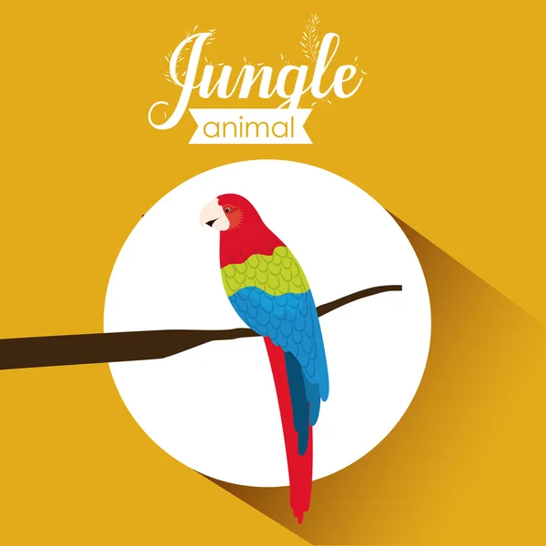 Jungle design — Stock Vector