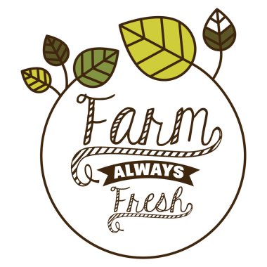 Organik gıda tasarım 