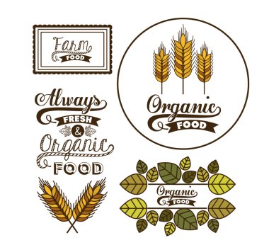 Organik gıda tasarım 